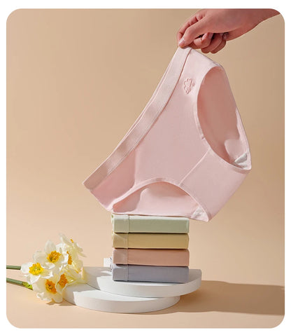 7Pcs Week Pants Cotton Women